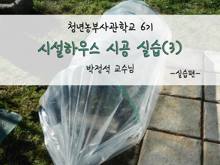  청년농부사관학교 6기_시설하우스 시공 실습(3)_211125