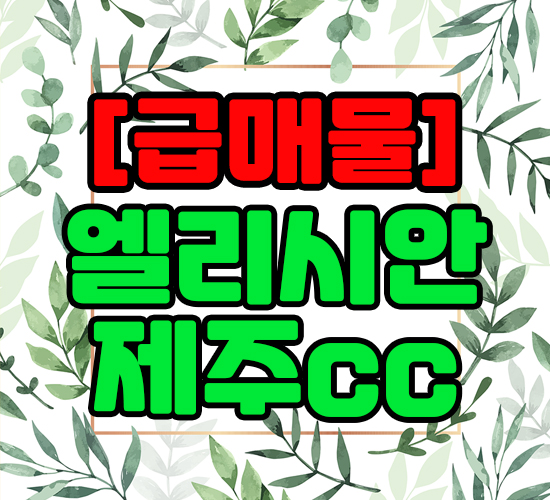  효자스러운 엘리시안제주cc회원권 급매물 체크했어요.