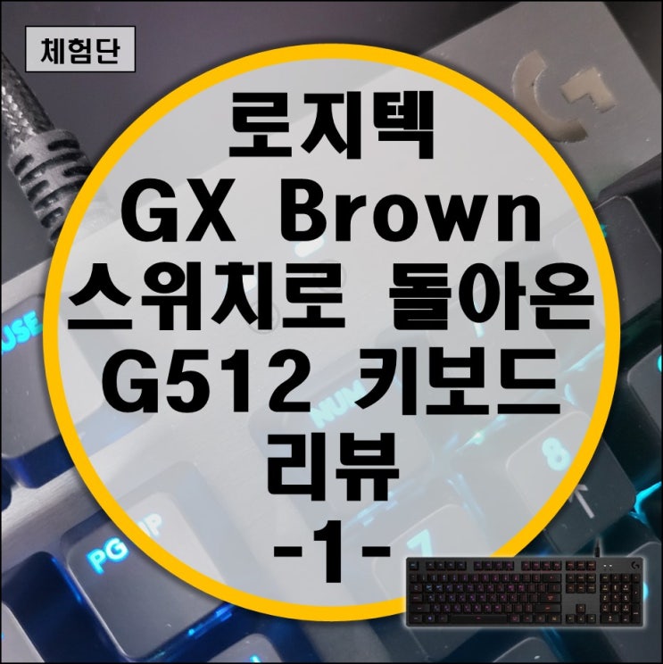  GX축으로 돌아온 로지텍 G512 GX Brown 게이밍 키보드 리뷰 -1-