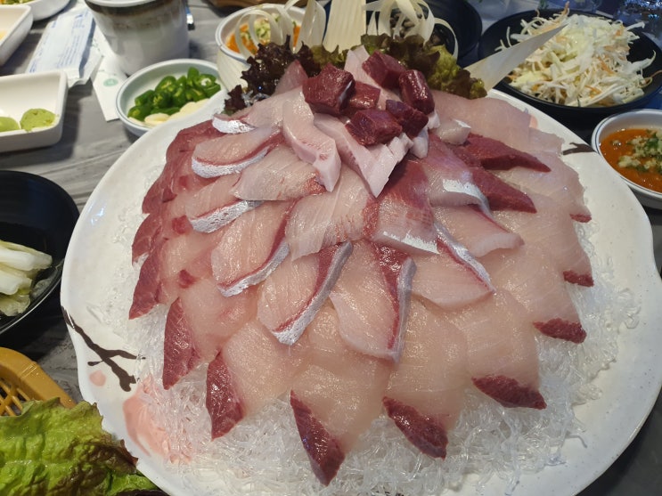  [후평동 횟집/ 춘천 횟집] 춘천 대방어 및 회 맛집 와와수산