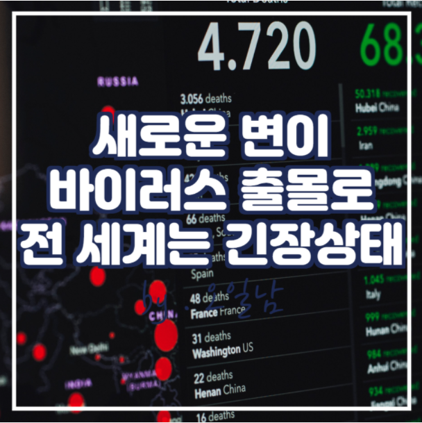  "누 변이" 바이러스 (B.1.1.529) 델타 변이를 넘어 전 세계를 초토화 시킬 것인가