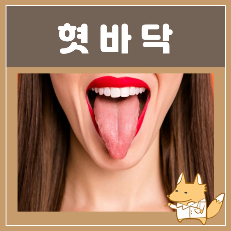  혓바닥 돌기 염증 통증 : 혓바닥 색깔 건강, 혓바닥 밑 갈라짐 피, 구내염