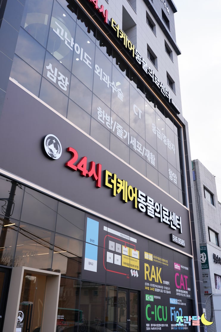  구리24시동물병원 :: 더케어동물의료센터에서 건강검진했어요