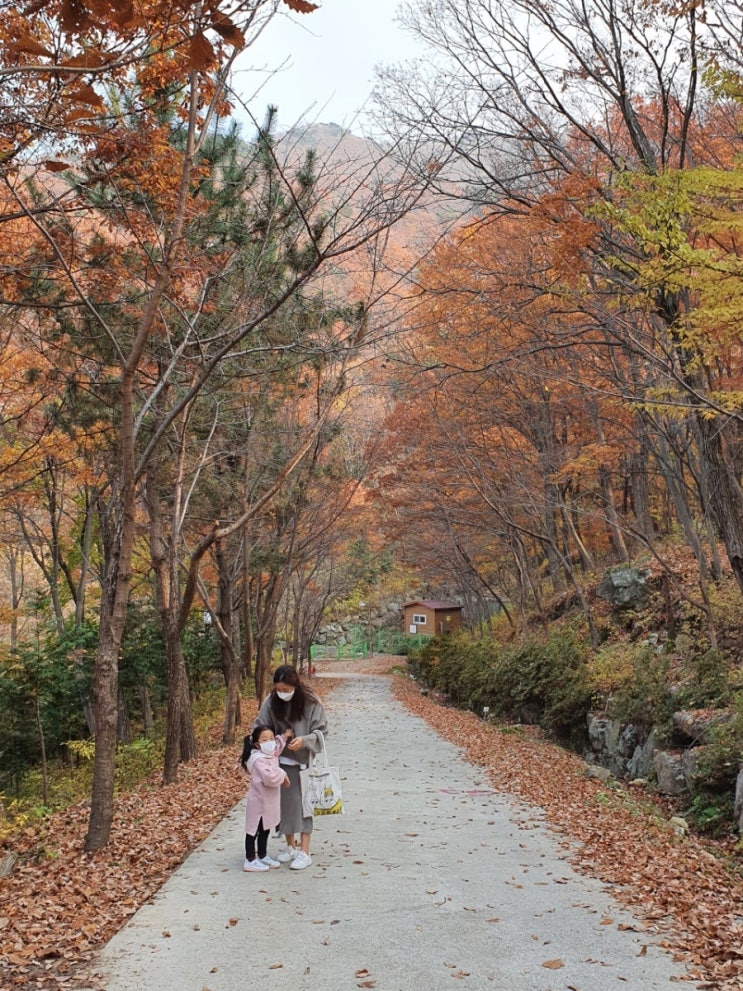  대운산 자연휴양림 카라반 &네트어드벤처 아이와 가볼만한 곳