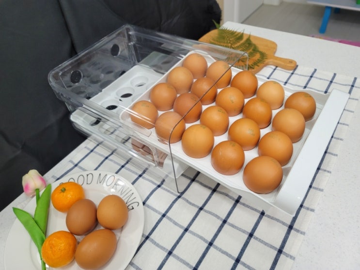  냉장고 달걀보관함 계란트레이 투명 달걀정리함 달걀트레이