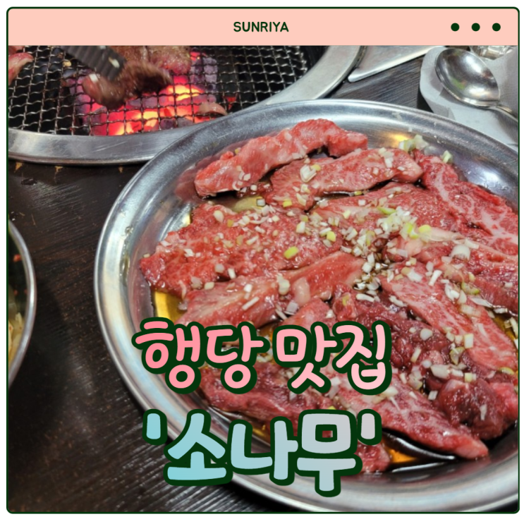  [행당 맛집] 신선하고 맛있는 왕십리 한우 전문점 회식 하기 좋은 '행당 소나무'