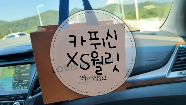  선물 받은 루이비통 지갑 후기 - 카퓌신XS월릿