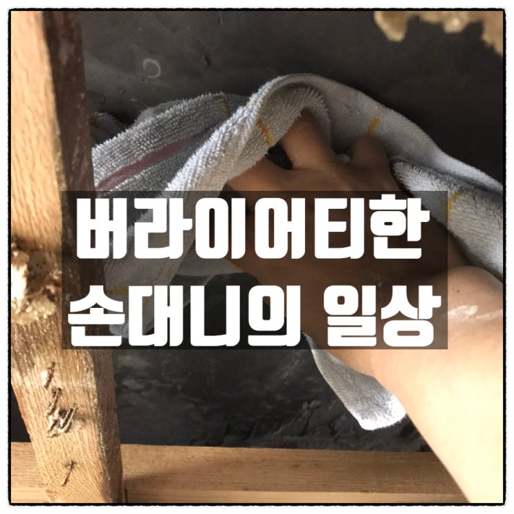 그냥저냥 먹고사는 손대니의 버라이어티한 오늘일상