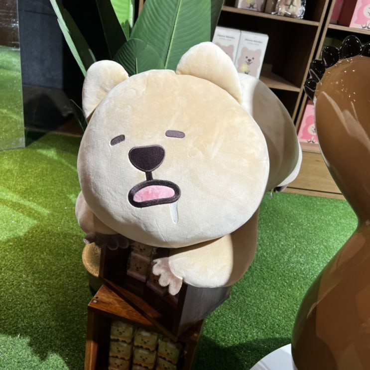  영이의숲, 쿼카인형 꽃카로 행복해지기!