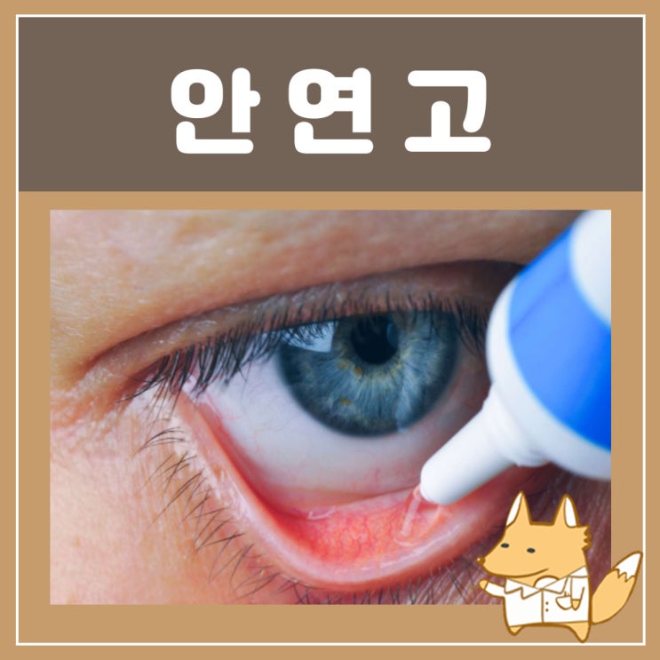  항생제 안연고 테라마이신 안연고 올바른 사용법과 효능 알아보자