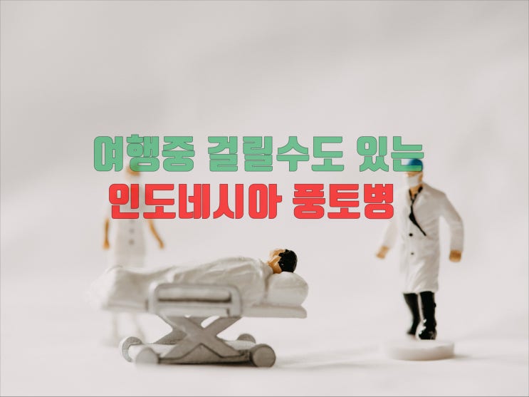 인도네시아 발리,롬복,자카르타 여행중 걸릴수 있는 풍토병