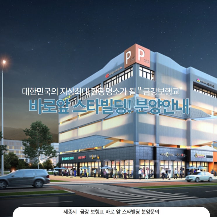  세종시 금강 보행교 앞 보람동 스타 빌딩 분양안내