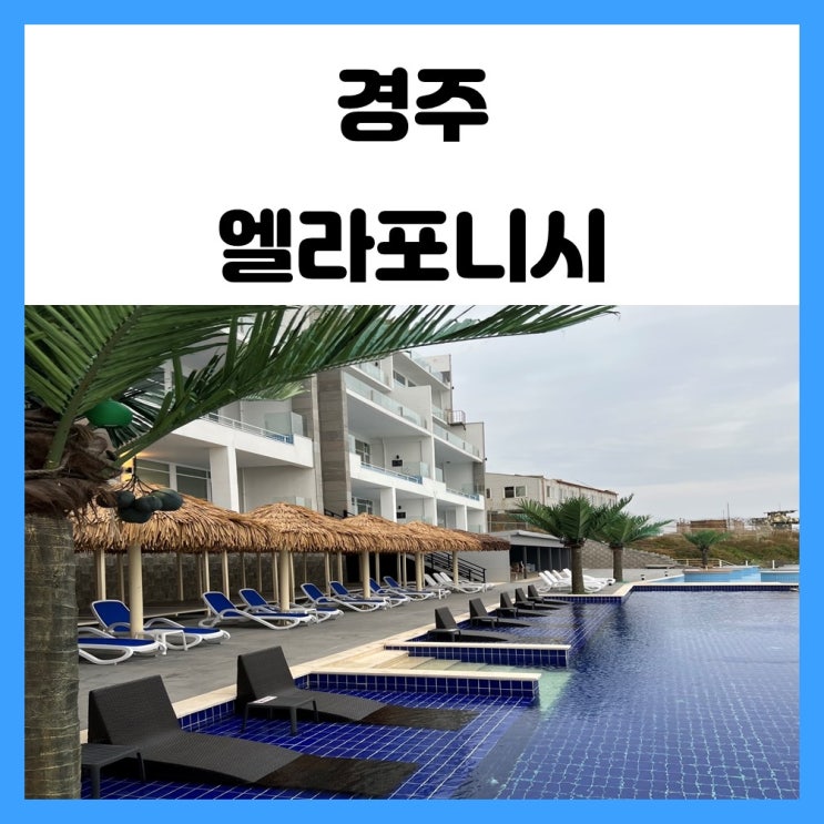 경주 호텔 감포 엘라포니시 감성 펜션 너무 좋았던 하루 경주 호텔 감포 엘라포니시 감성 펜션 너무 좋았던 하루