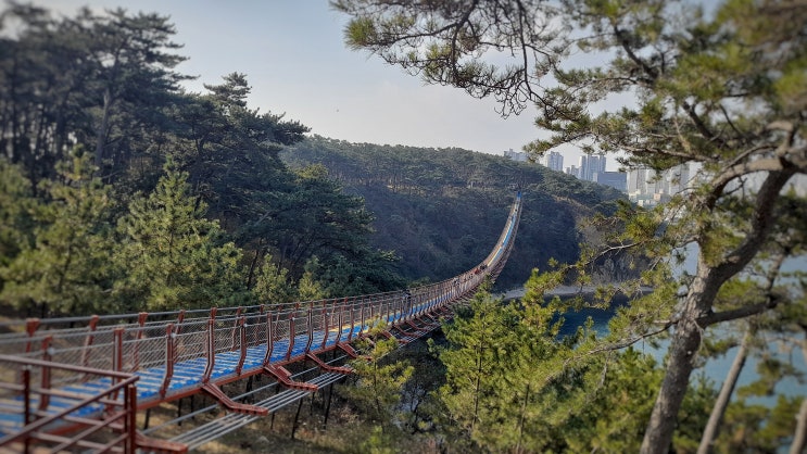  울산 가볼만한 대왕암 출렁다리 요금 및 운영시간
