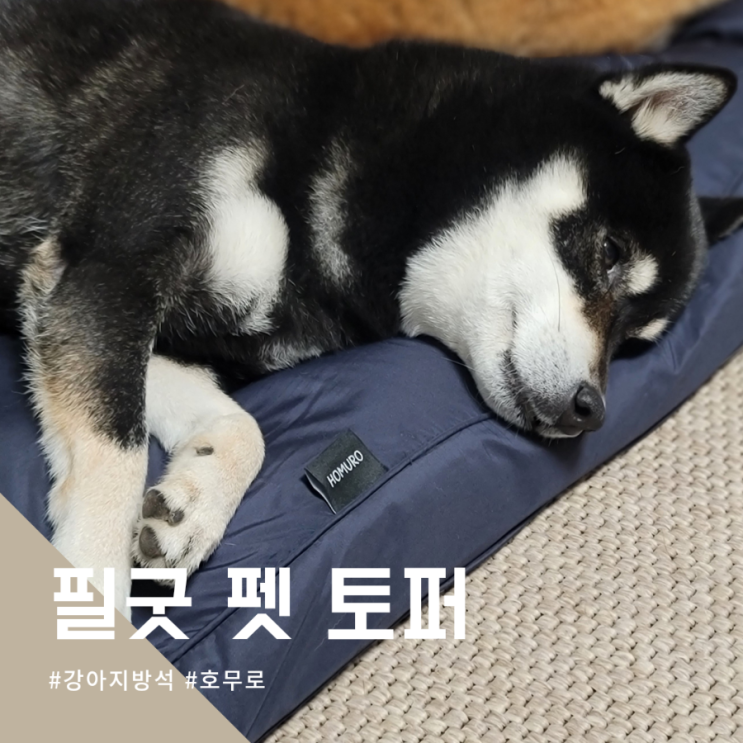  껌딱지가 되는 강아지방석 호무로