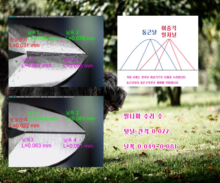  블레스 니퍼 날갈이 필 니퍼 날갈이 거울 니퍼