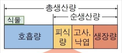 총생산량, 순생산량, 호흡량, 생장량 ...