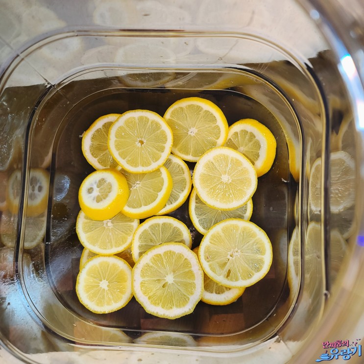 레몬소주 담금주 만들기 레몬 세척법과 활용 방법