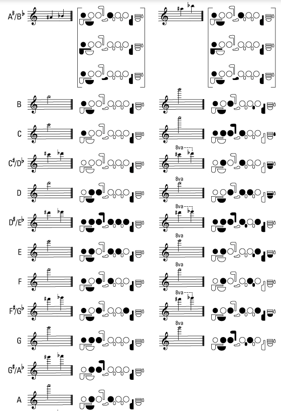 플룻(플루트) 운지법에 대해 알아 보아요 네이버 블로그