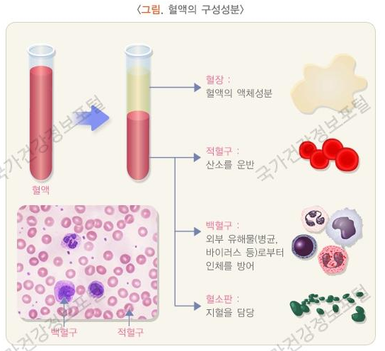 항암치료 - 혈액검사 결과 확인하기