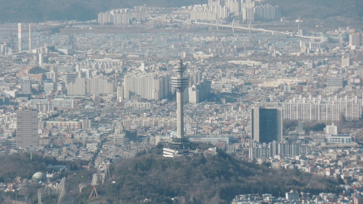  대구 서구 고등학교 : 학군 비교 분석 (대학 진학률&학업성취도)