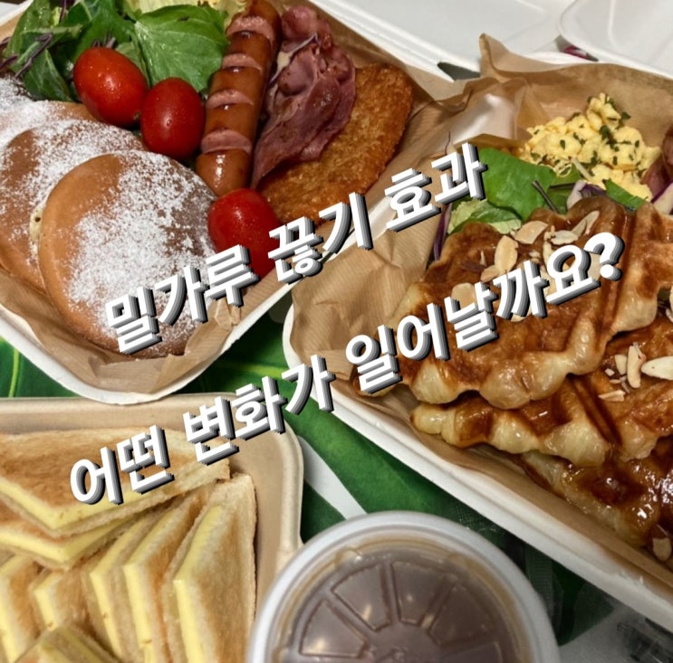  밀가루 끊기 효과 어떤 변화가 일어날까