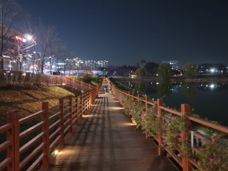  평택 배다리 생태 공원 저수지 산책하기 좋은 곳