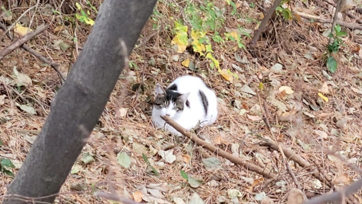  불곡사 불곡산 아침 산행 마실 다녀왔어요 ㅎ