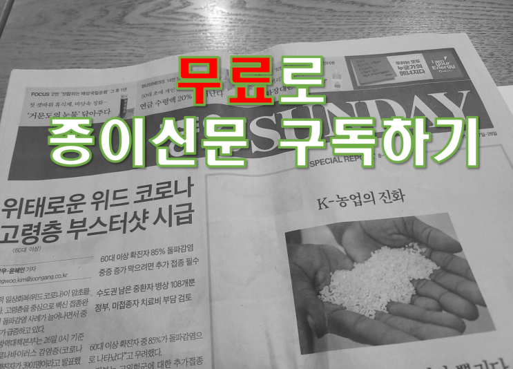 종이신문 중앙일보 1년간 무료로 받기!(ft.사이다경제)