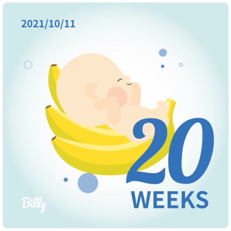  [ 임신 20주-23주 ] 20주 정밀(입체)초음파 / 그동안의 일상