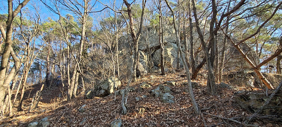 배나무골 사진 6
