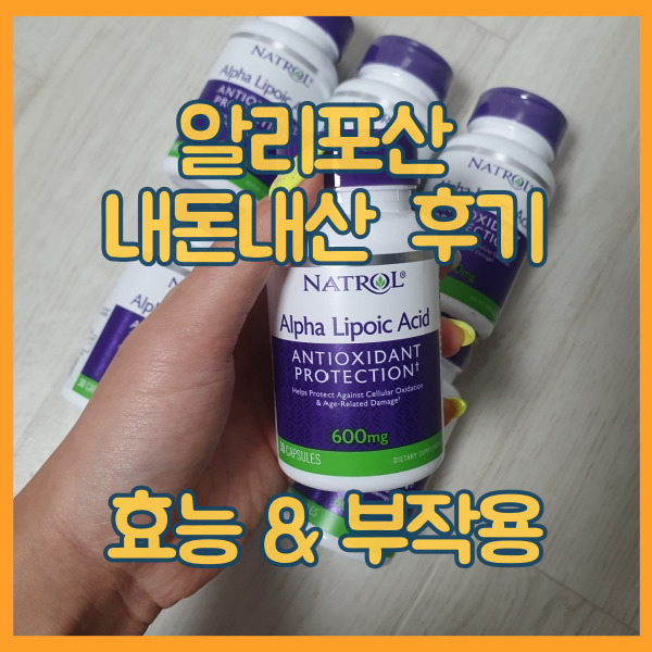  알파리포산 서방형 효능 나트롤 후기