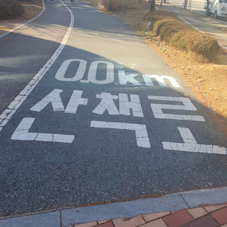 천안 축구센터 산책하기 좋은곳 강아지 산책 추천!