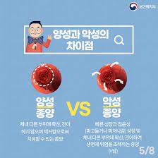  대장암 유방암 췌장암 림프절전이생존율 수술치료재발률 암종류특징 암환자예후경과 추적관찰