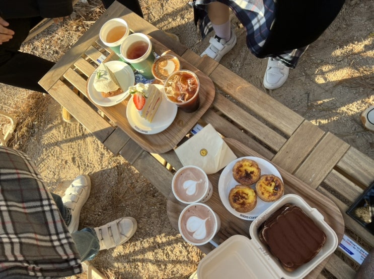  경북 경주 / 경주가면 꼭 가봐야하는 애견 동반 힐링 감성 카페 '소디스커피' 내돈내산 후기