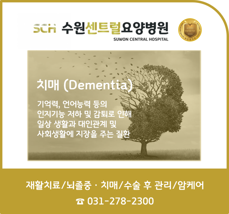  수원 권선구 호매실 요양병원 추천, 중점 재활, 재활과 요양을 동시에! : 치매 종류와 증상