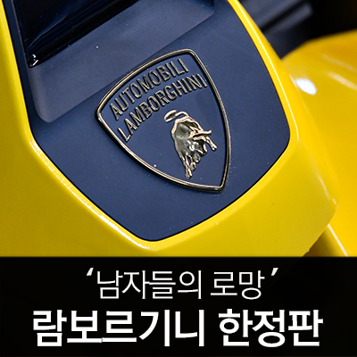  람보르기니 에디션 나인봇 고카트 사용해보니.  남자들의 장난감