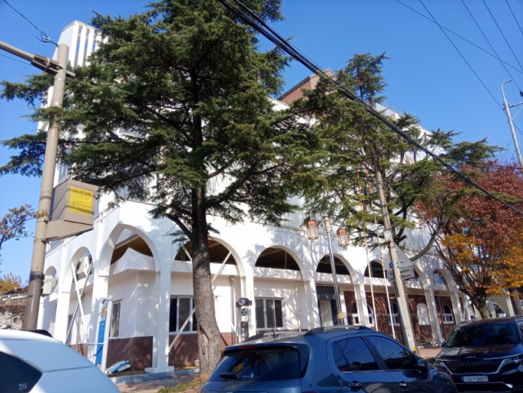 기자촌 재개발지역과 접하는 중노송동 문화촌 둘러보기