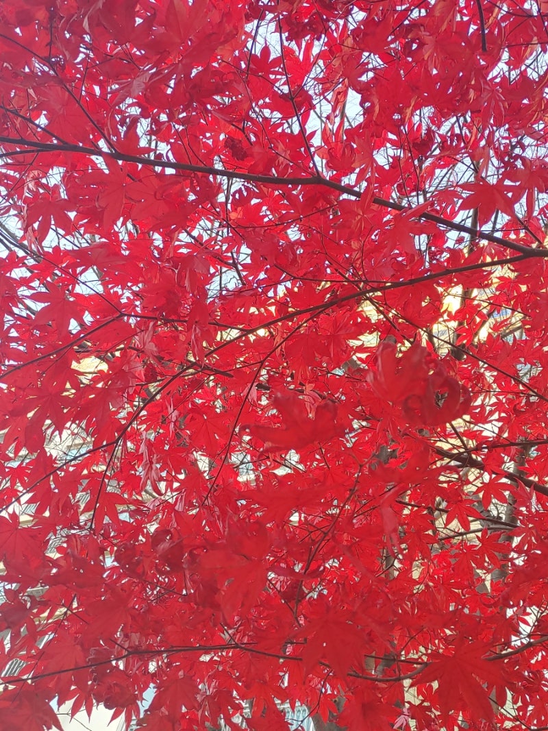 비트코인 0,1개 이더리움 2개, 미래의 황금알이 될 것 : 네이버 블로그