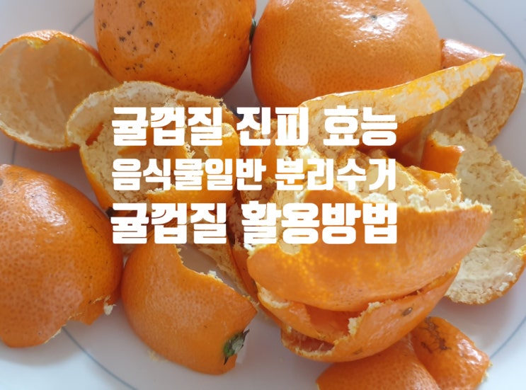  귤껍질은 쓰레기가 아니다 진피 효능 (ft. 음식물 일반 분리수거 방법 활용 핫팩 안대 차 만들기)