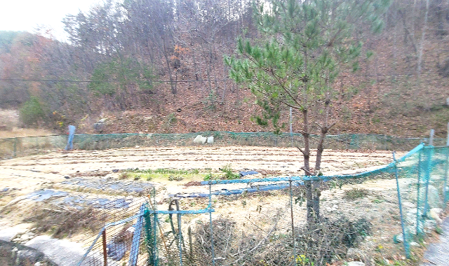 너래골 사진 2