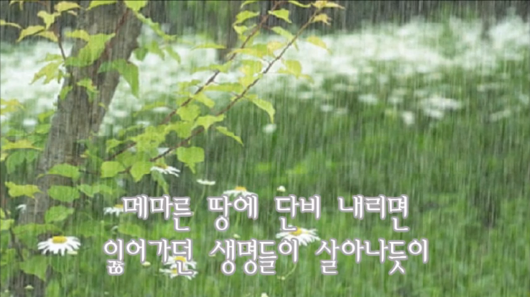  메마른 땅에 단비 내리듯