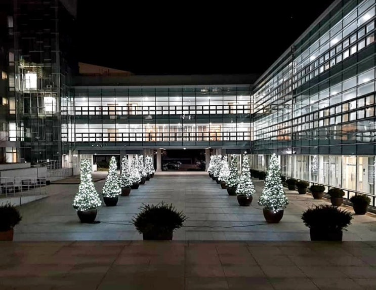  서울대학교 일반대학원 박사과정 입학 (국제법) (2)