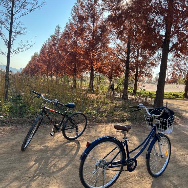 화명 생태공원 자전거 대여소 운영시간, 금액 정보