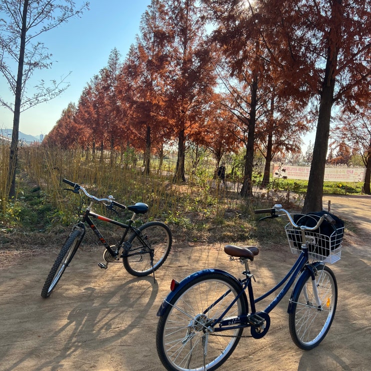 화명 생태공원 자전거 대여소 운영시간, 금액 정보 화명 생태공원 자전거 대여소 운영시간, 금액 정보
