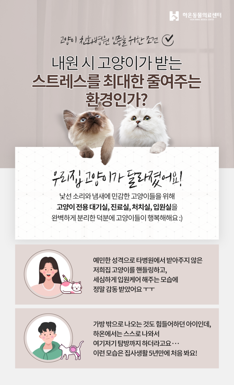 용인동물병원 ISFM 인증 고양이 전문 고양이가 똥을 쌀 수 없습니다.고양이 변비 증상과 홈케어 예방 방법!