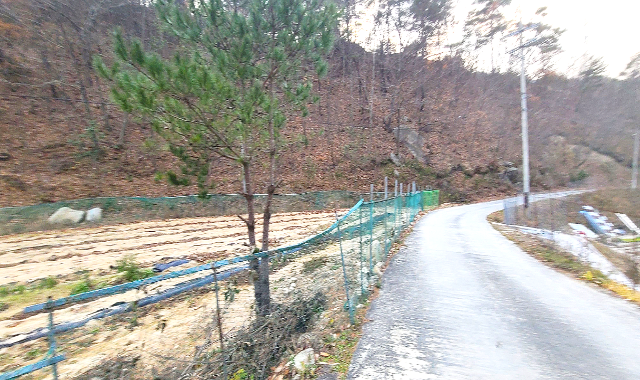 너래골 사진 4