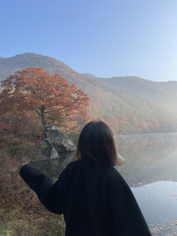  청송 가볼만한곳 주산지 꼭 물안개 보세오
