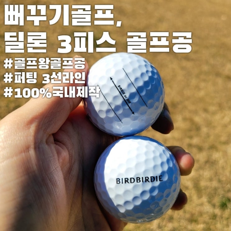  버디를 부르는 뻐꾸기골프 딜론 3피스 골프공, 골프왕에도 나오네??