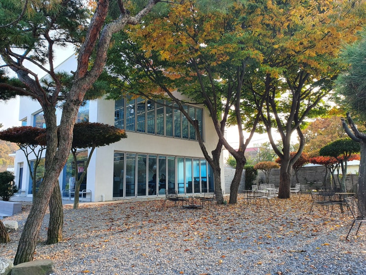  물왕리 카페 물왕저수지 커피와일드 애견동반도 가능한 단풍맛집